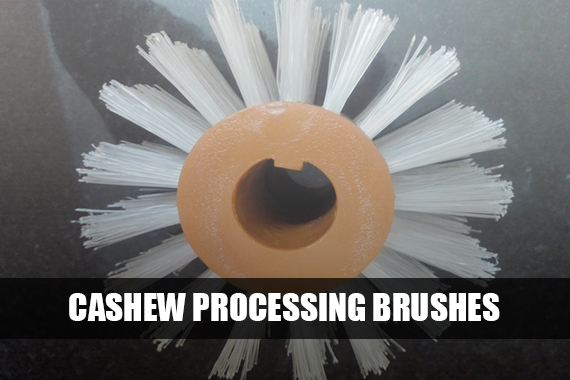 Cashew Processing Brushes | Featured Image | NIBI Brushes | New India Brush Industries | Industrial Brushes