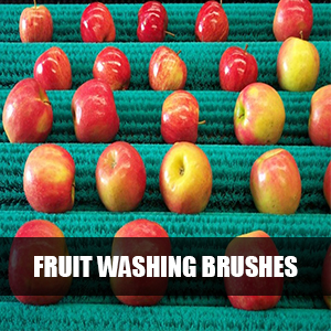 Fruit Washing Roller Brushes | Featured Image | NIBI Brushes | New India Brush Industries | Industrial Brushes
